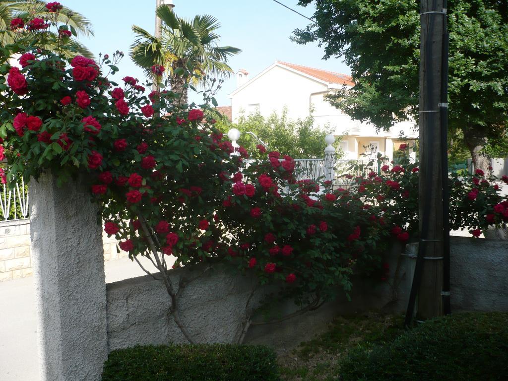 Appartement Rose Zadar